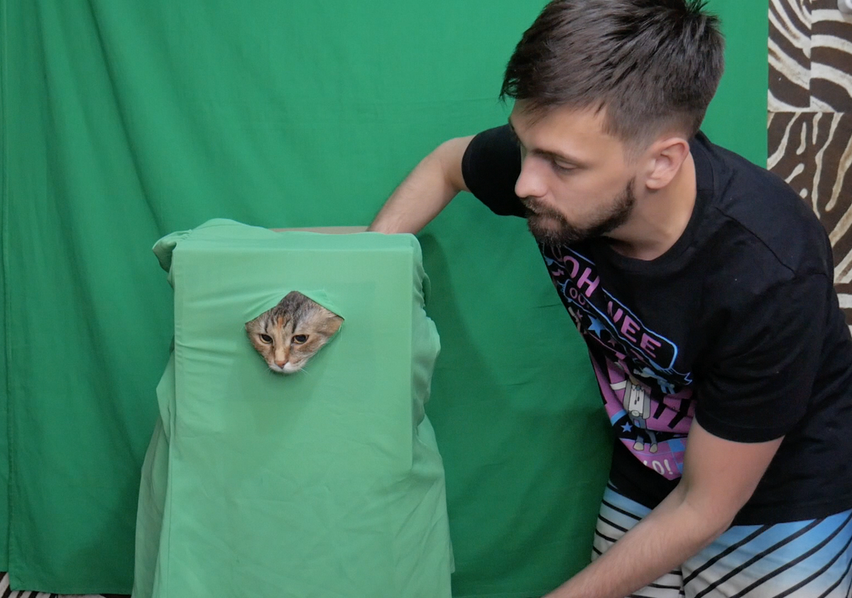 котик в коробке ))