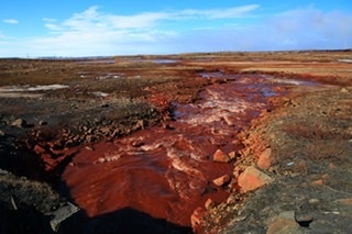 Этот кошмар вызван алчностью и жаждой наживы.