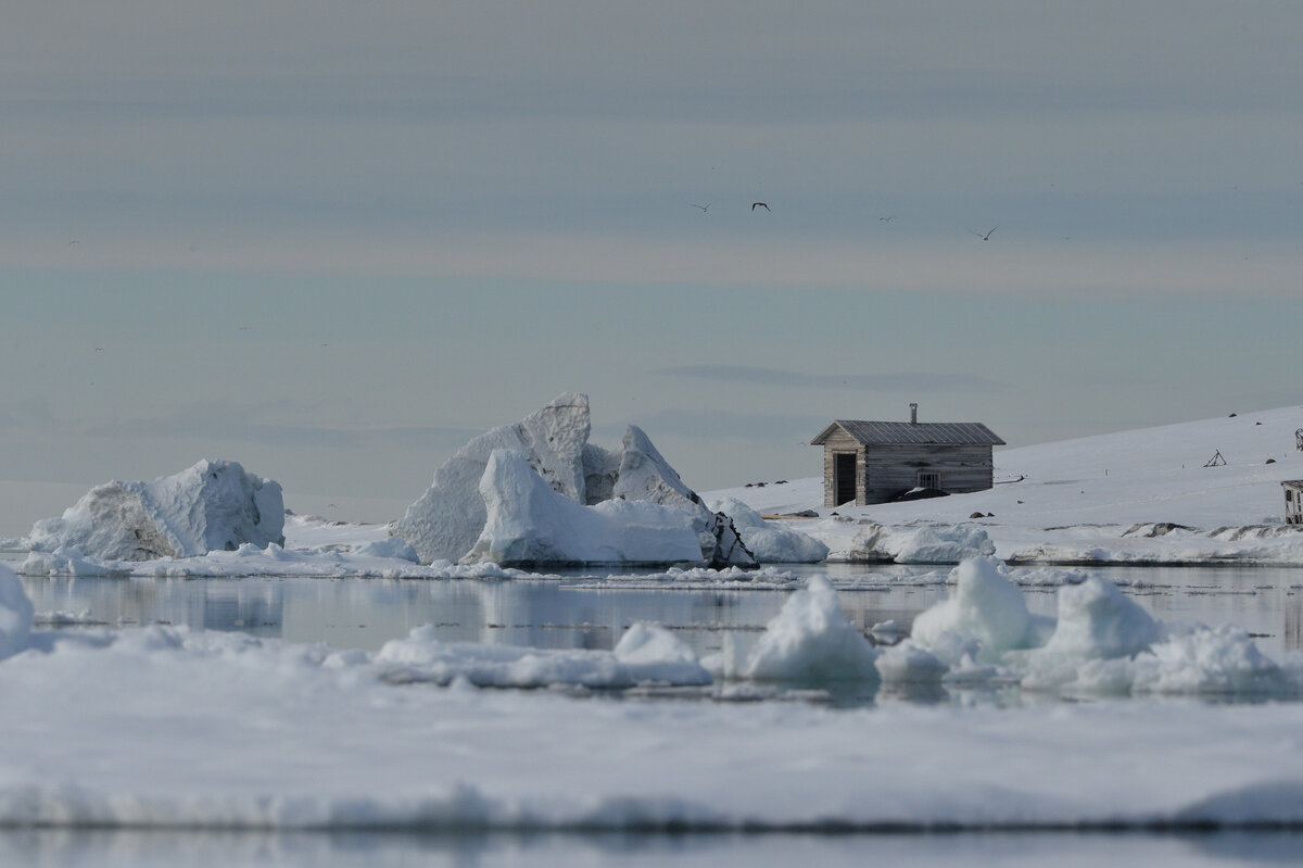Фото: Костамо Вера. Тишина