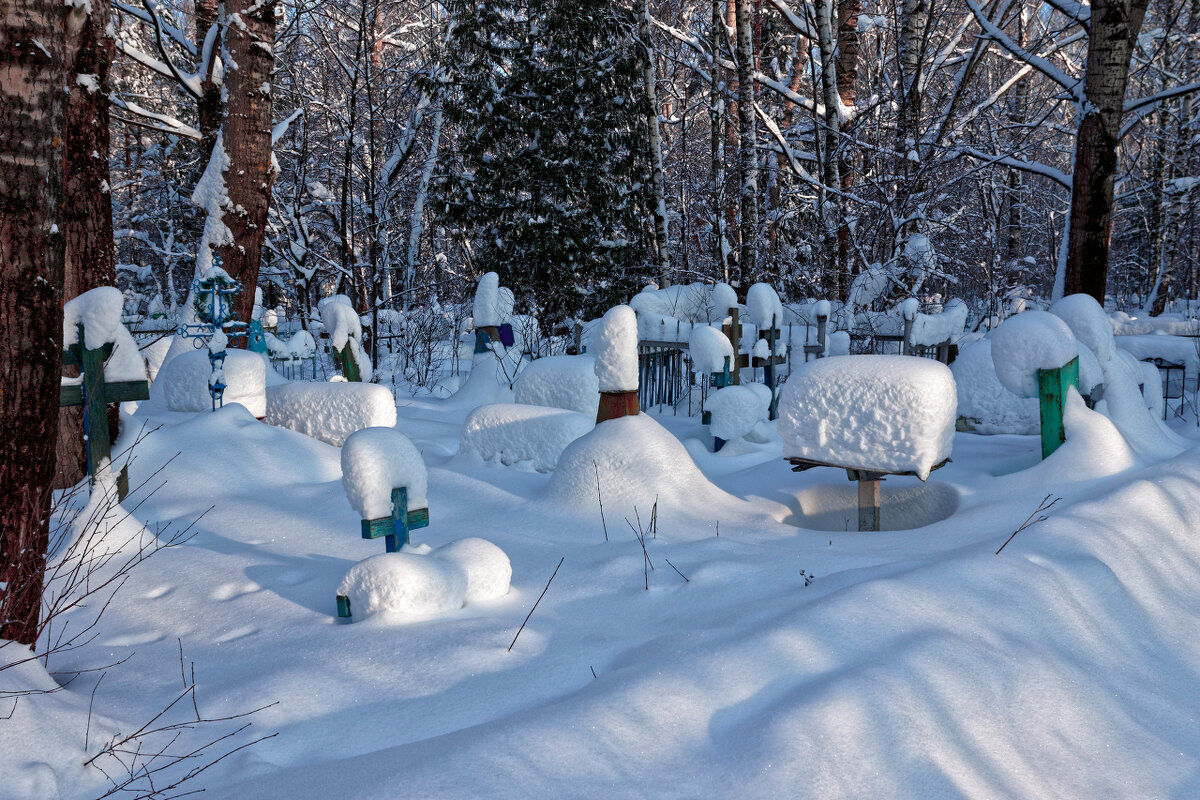 фото из интернета