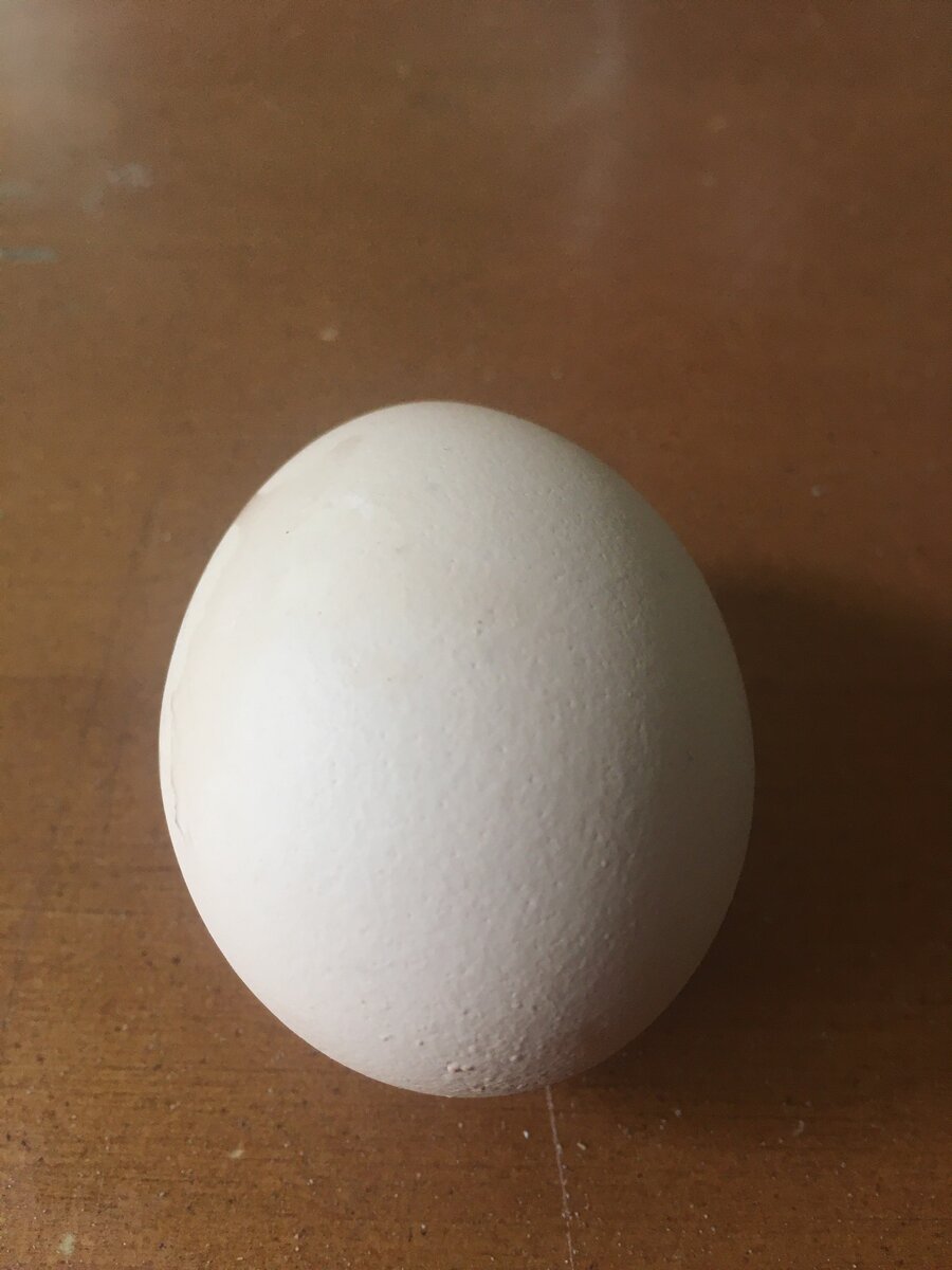 Одно яичко.