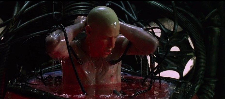 Рождение в реальности