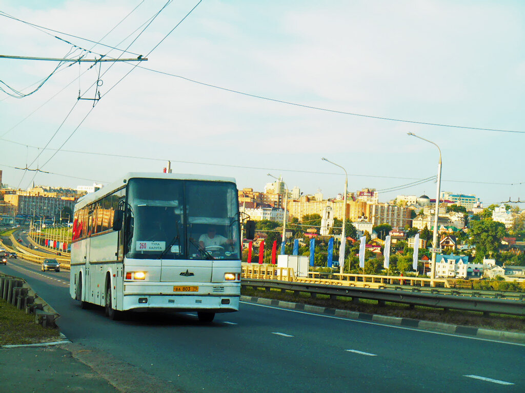 Витязь mercedes-benz 0303aka-15rhd. Зеленая сетра автобус тульский. Старый автовокзал калуга. Тульский автобус. Калуга тула автобус сегодня.
