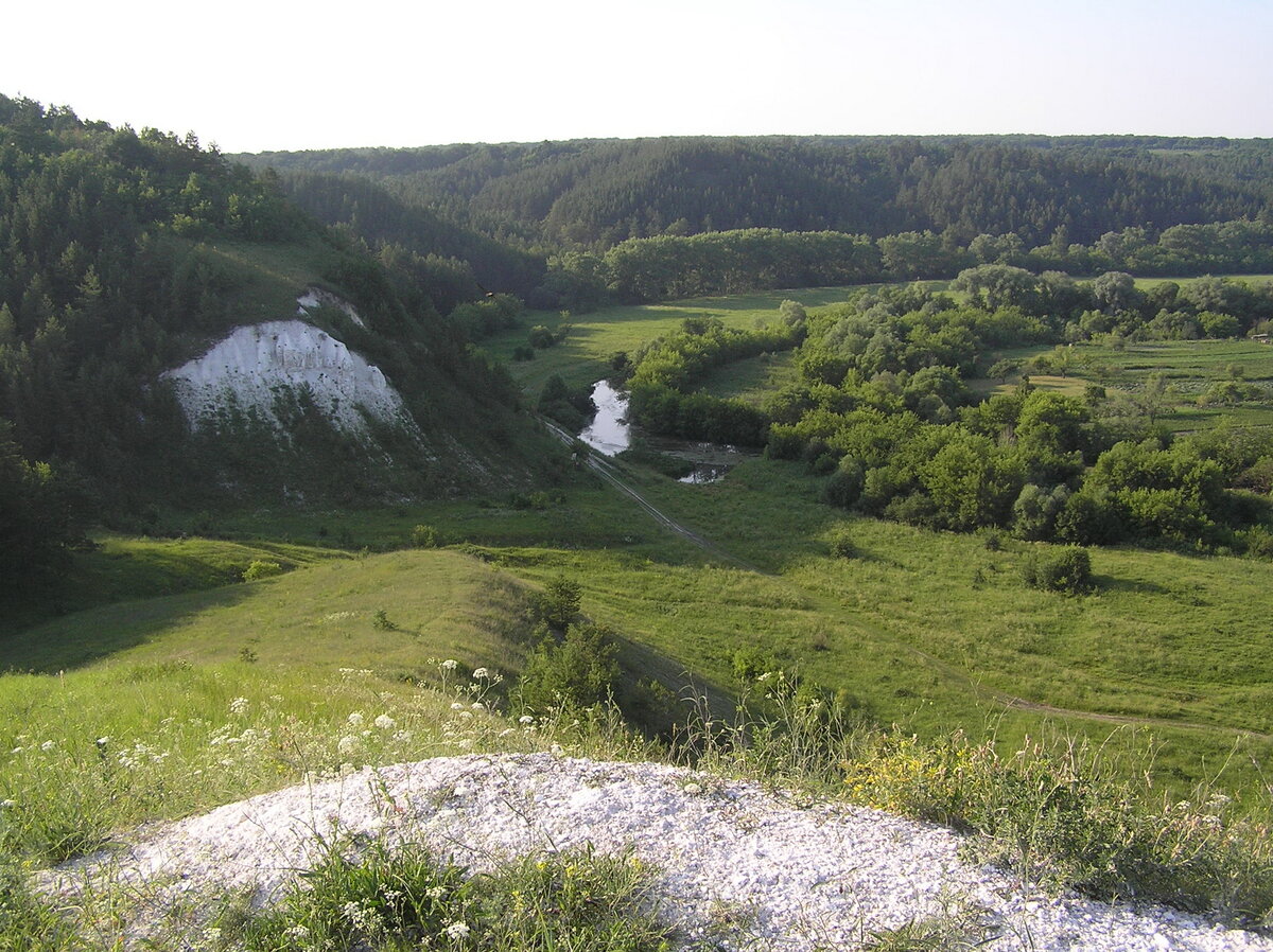 Бекарюковский Бор Белгородская область