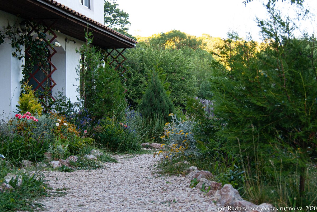 Внутренний дворик отельчика