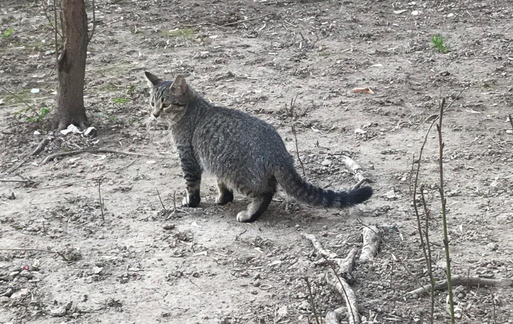 Мариус, 10 месяцев 