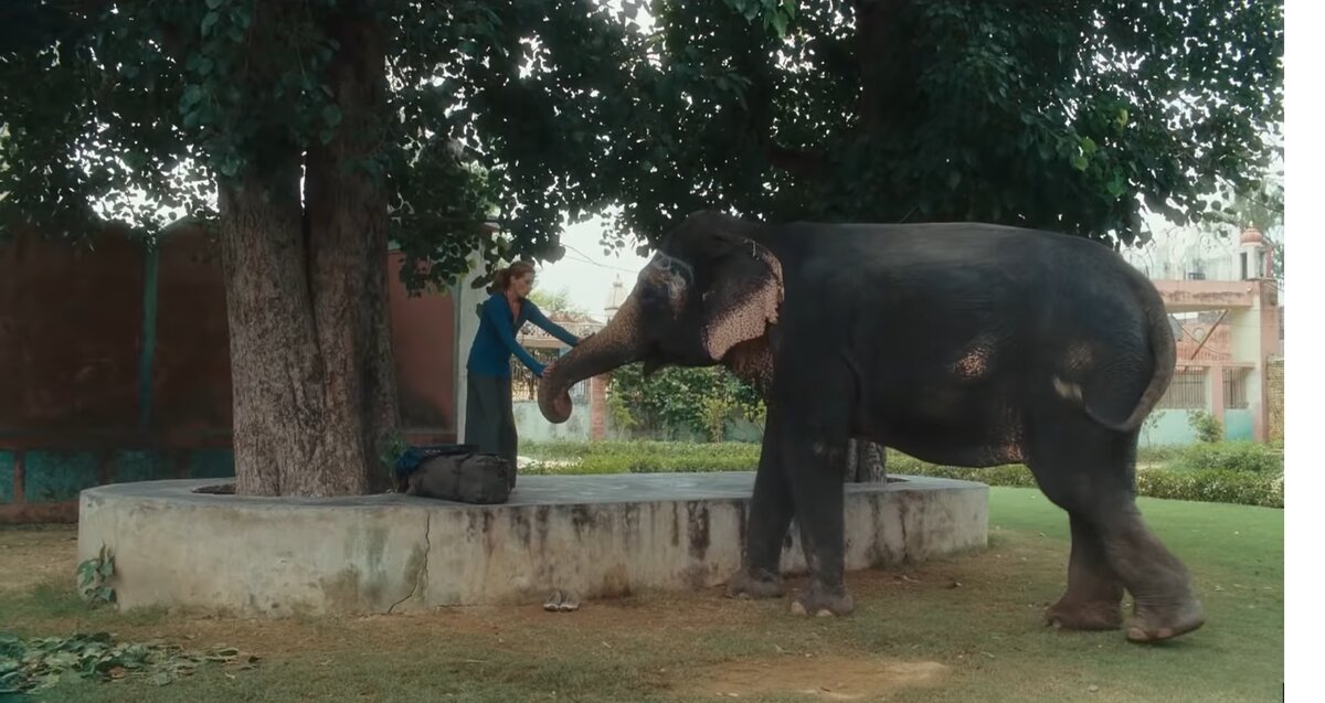 Кадр из фильма "Отель «Ешь, молись, люби". Листайте галерею!