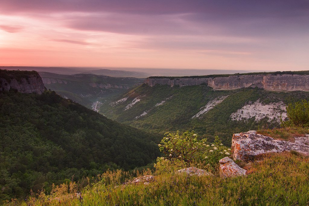 Фотография с яндекс картинок