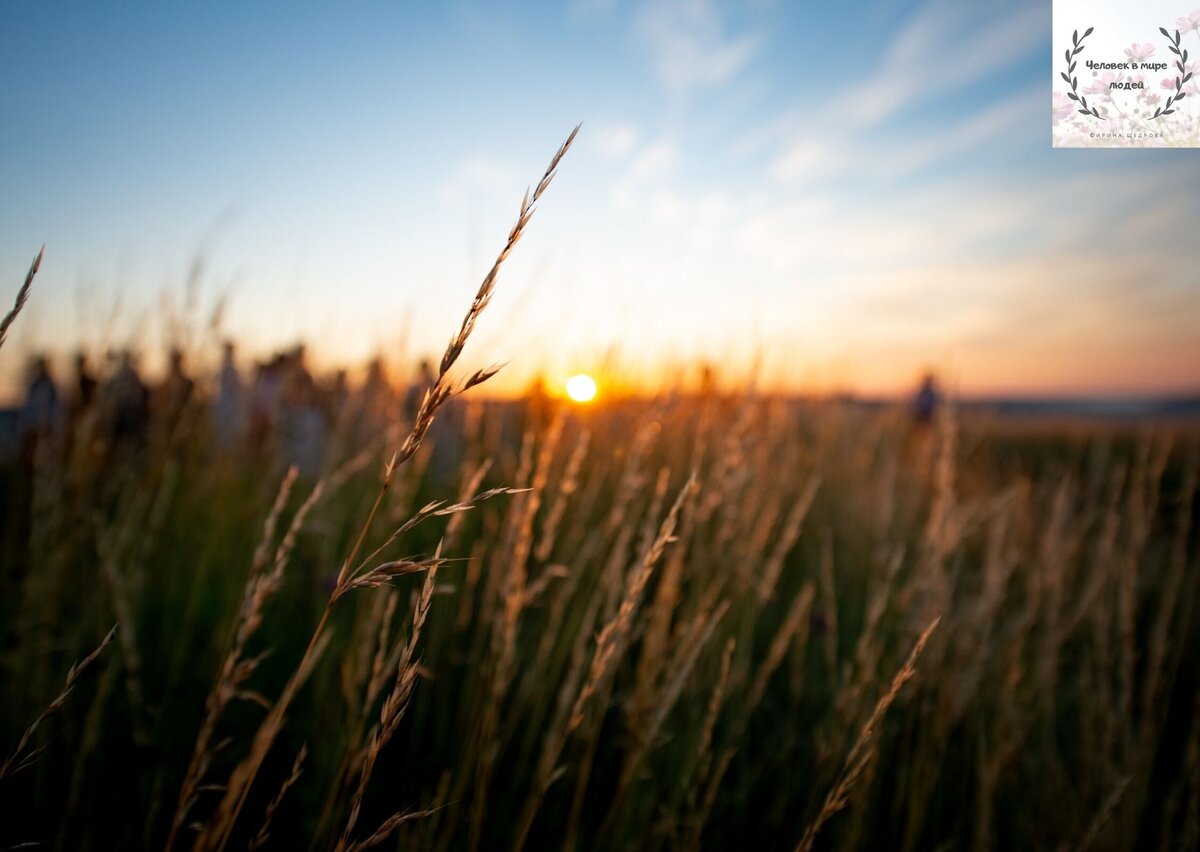 Поддержите материал лайком, а автора-подпиской на канал