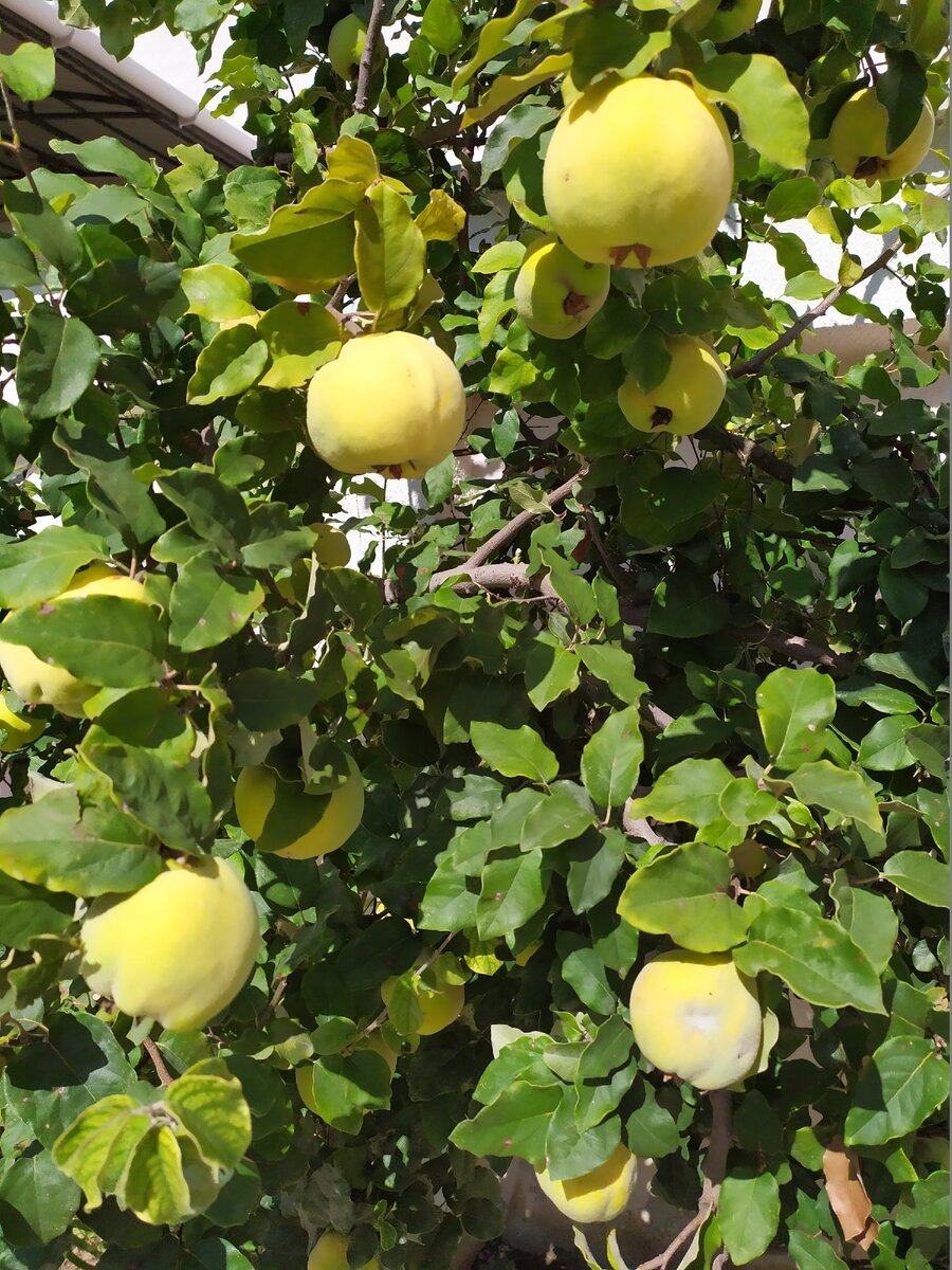 Крым. Фото из личного архива.