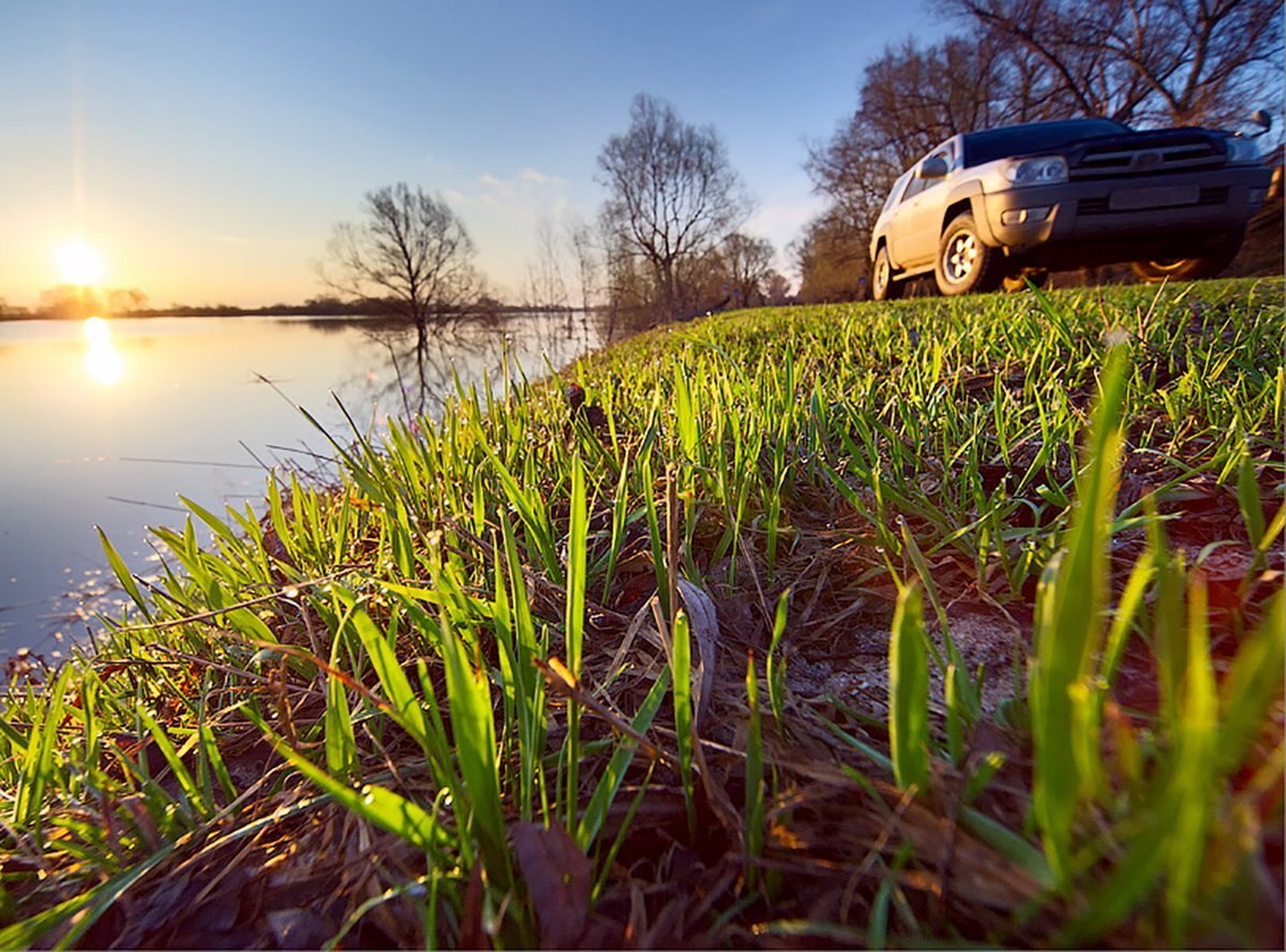 фотография взята из открытых источников