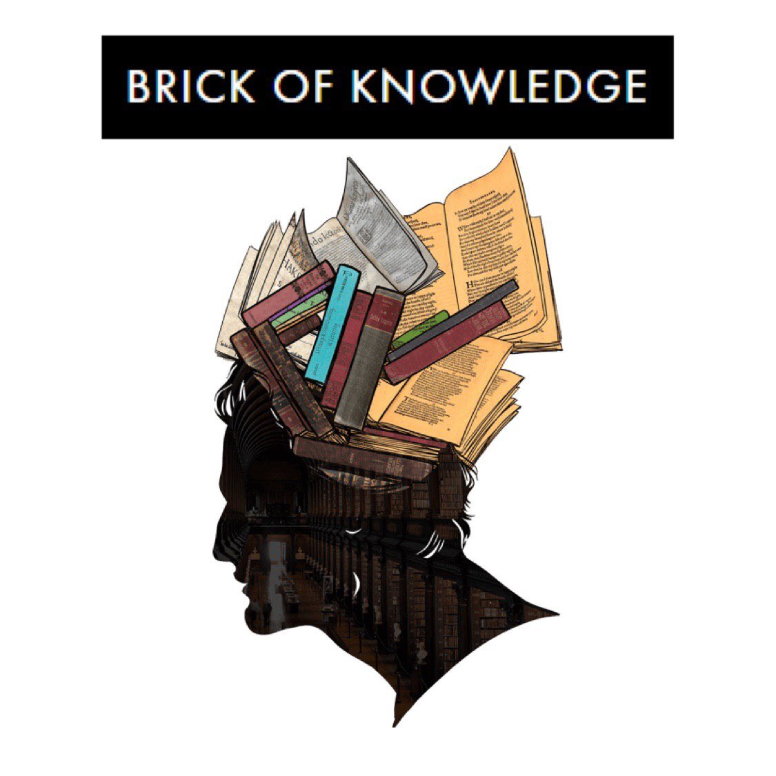 Knowledge article. Кирпичи знаний. Brick of knowledge.