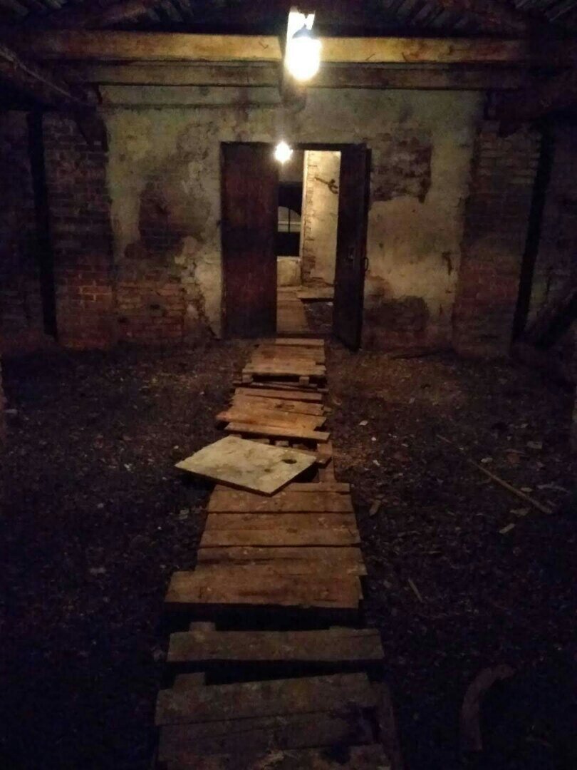 Зато без кредитов, мам и пап