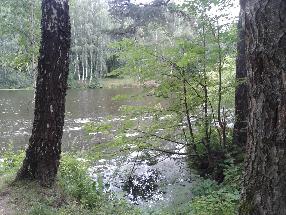 Старинный усадебный пруд