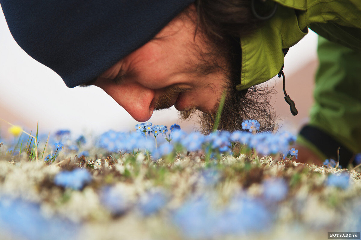 Тимур Ахметов