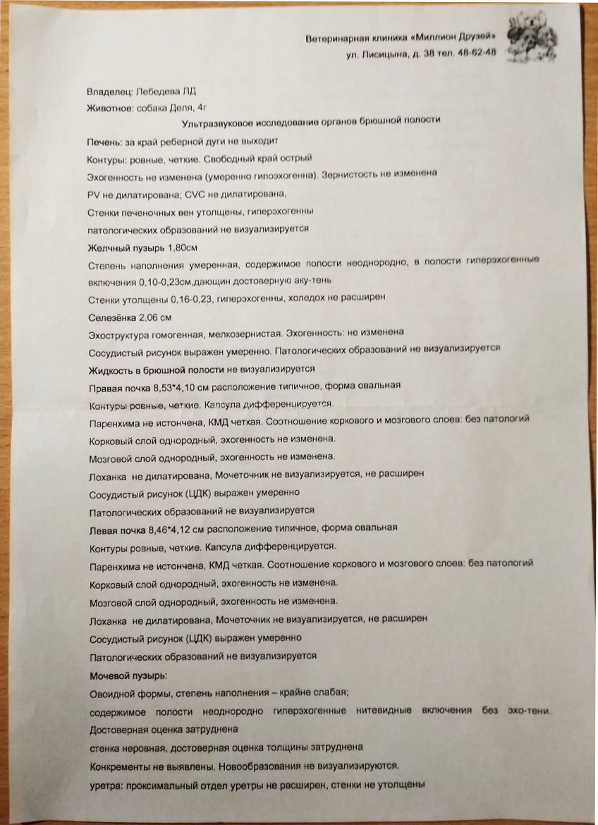 Для просмотра листайте галерею. 