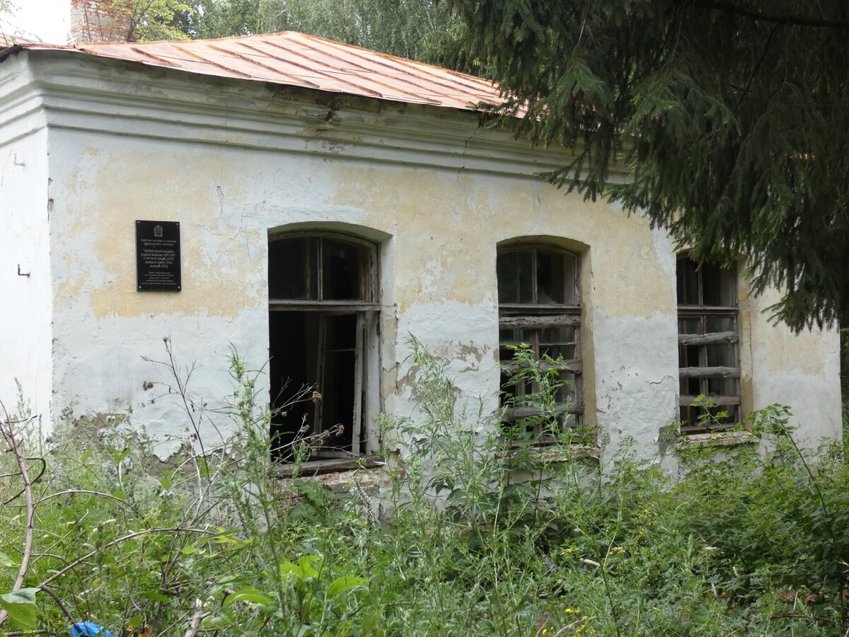 Усадьба воейкова в каменке старые фото