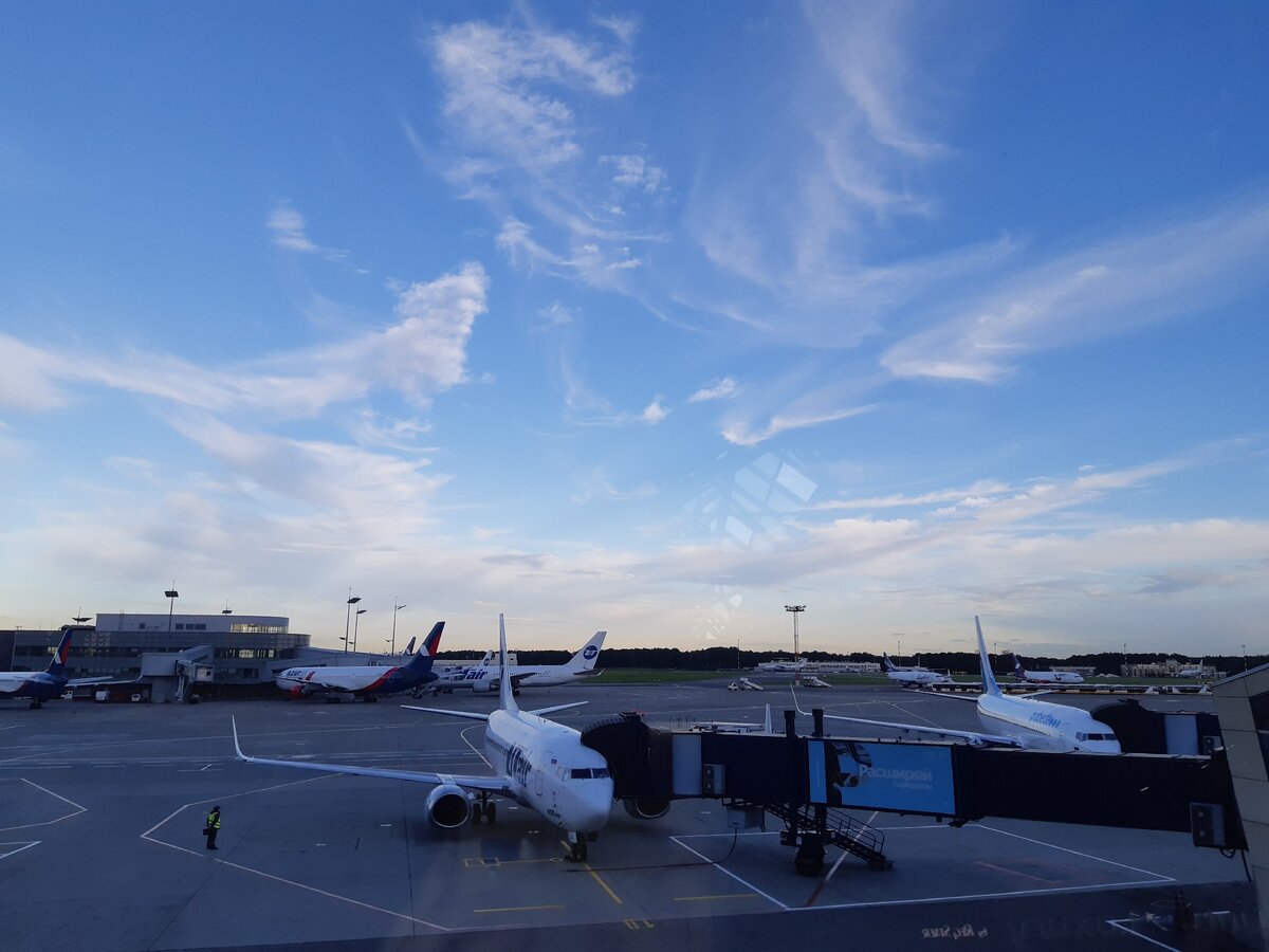 Аэропорт Внуково, июль 2020 г.