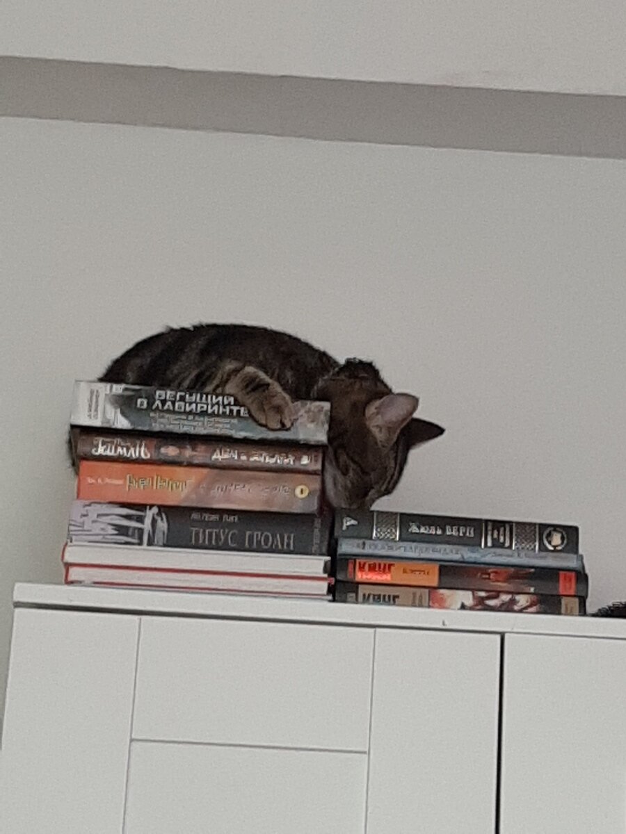 Из личного архива автора