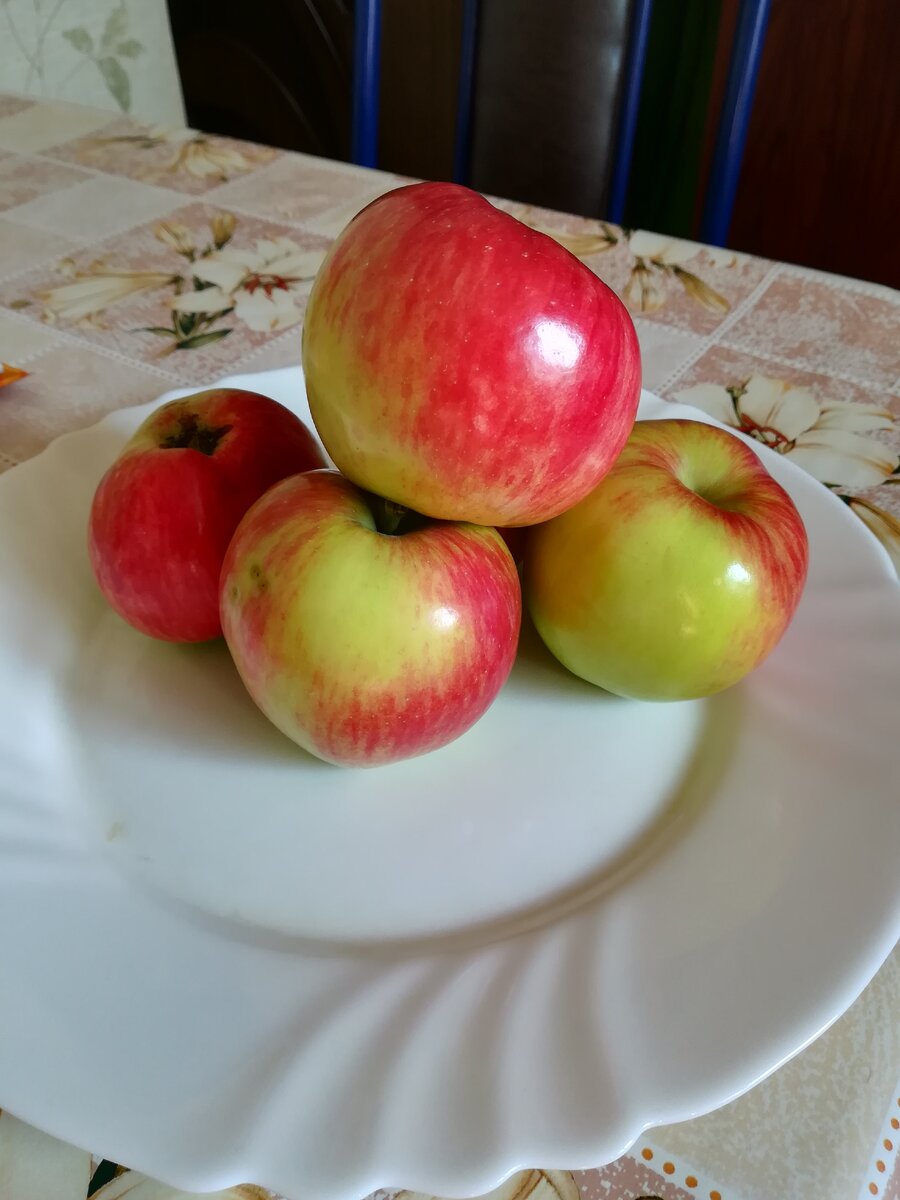 Румяные яблочки