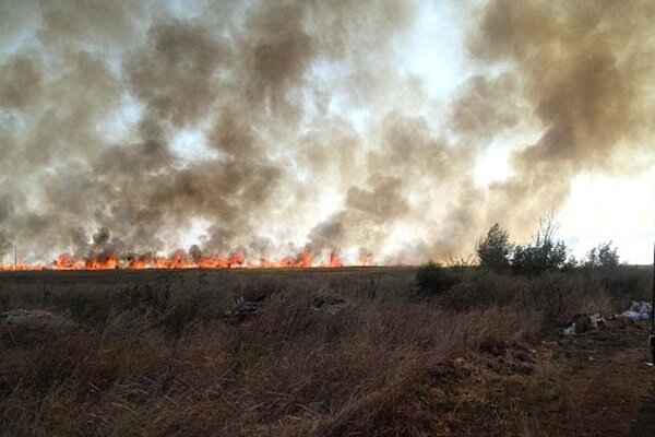 Ландшафтный пожар. Фото ГУ МЧС по Ростовской области