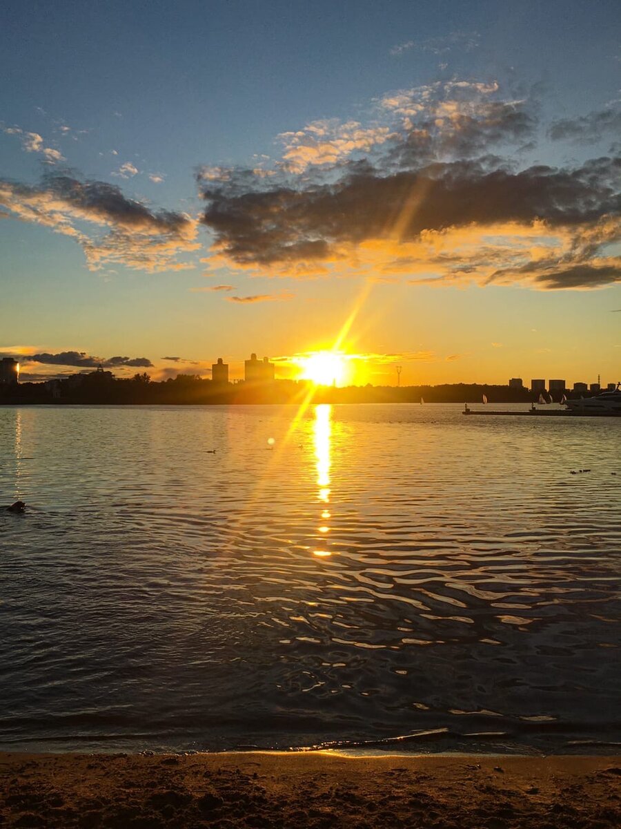 Берег Химкинского водохранилища(березовый парк)