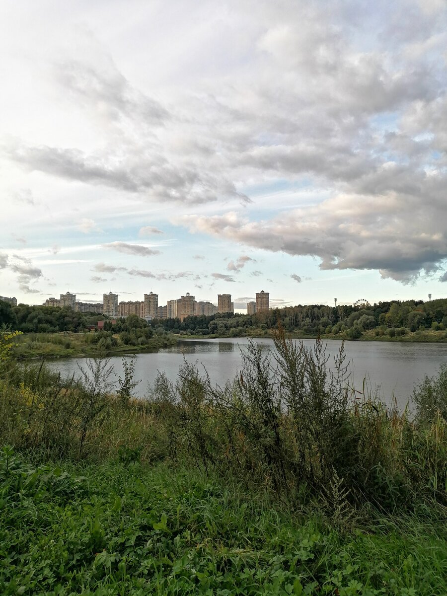 Раменское 