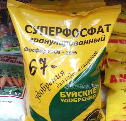 Суперфосфат