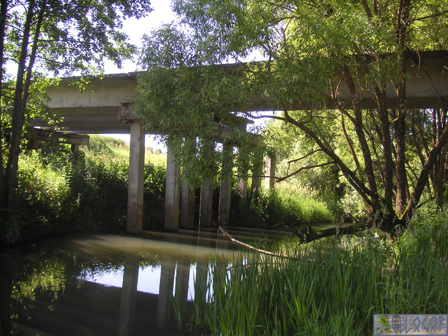 Недостроенный мост через реку Бол. Березуй