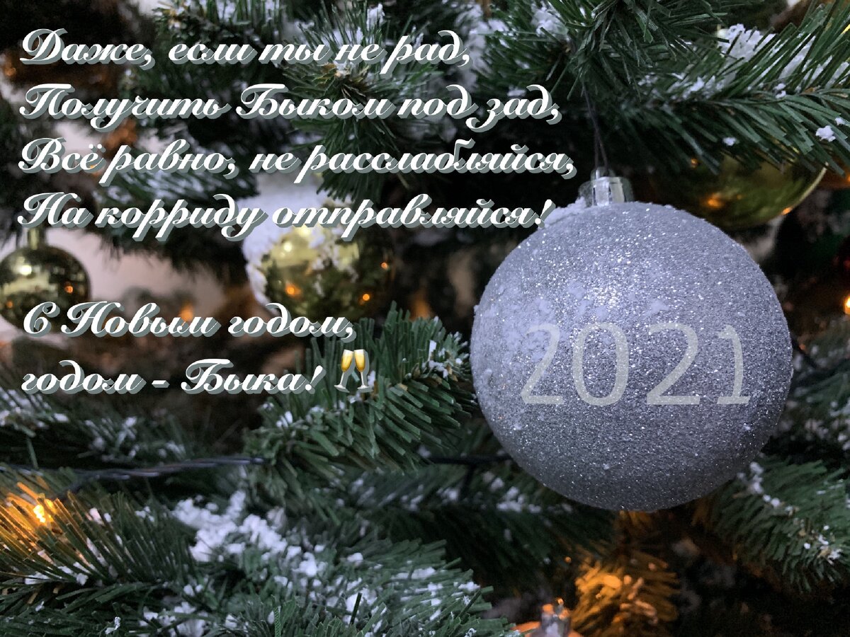 С Новым годом! 2021