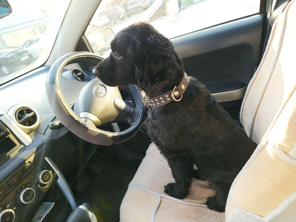 Поэт, водитель и просто красивый парень :