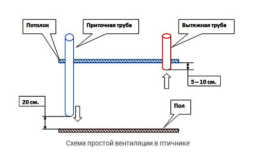 Как правильно сделать приточную вентиляцию в курятнике: схема без потери тепла зимой