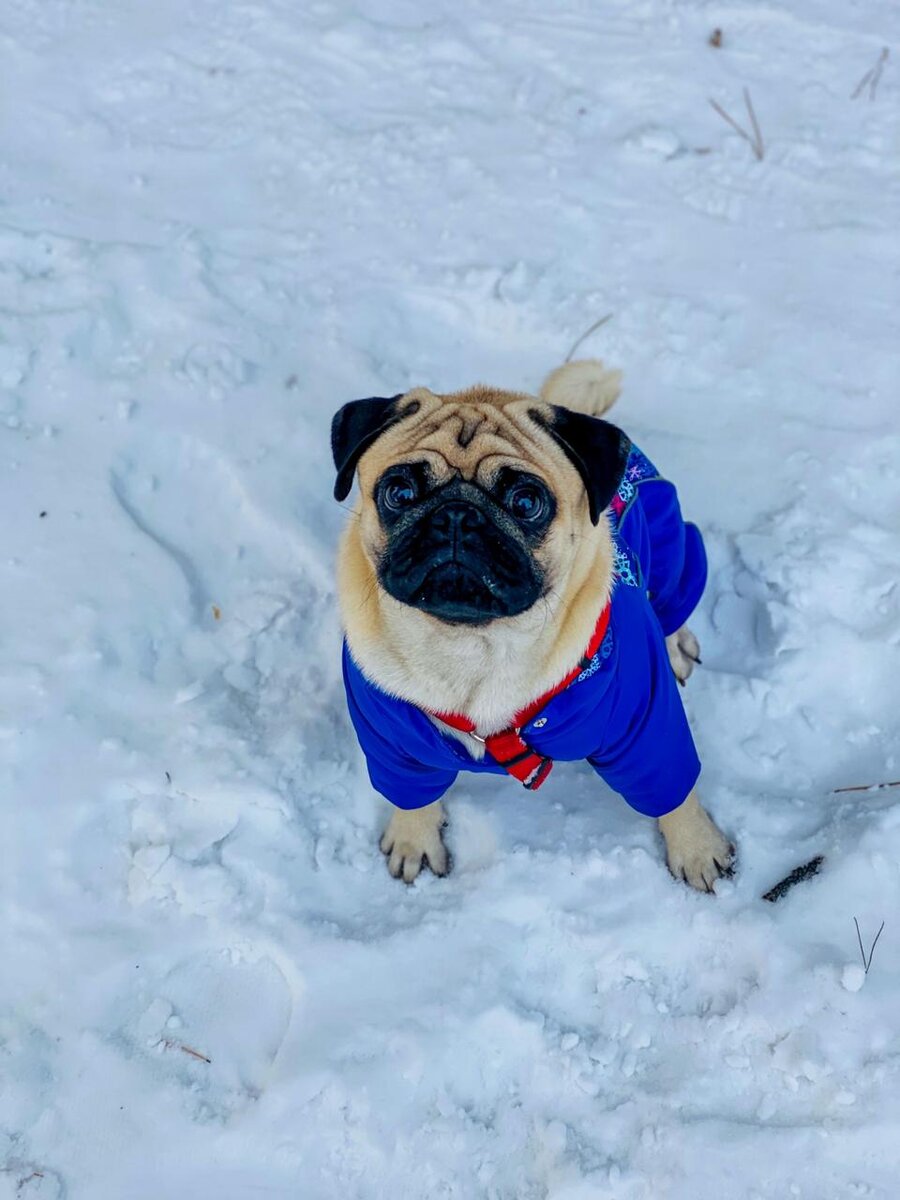 Давайте почитаем и подумаем