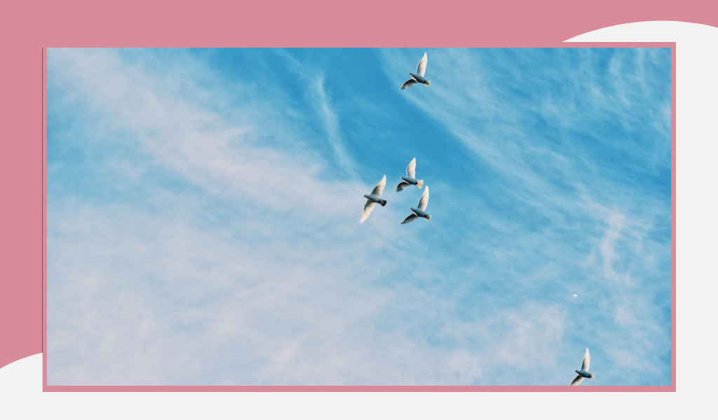 Фотография из открытых источников