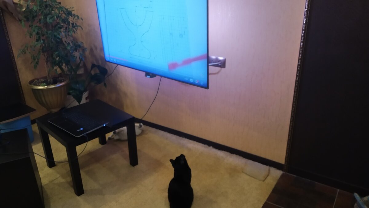 Тихон изучает построение выкройки. 