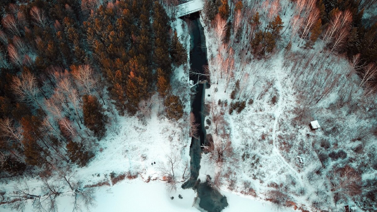 2. Движение это жизнь!