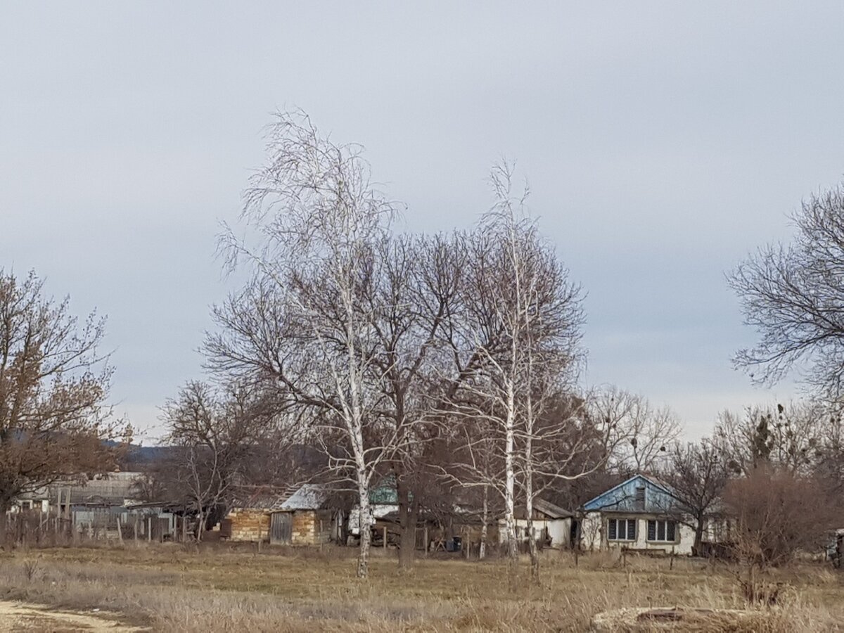 Как прожить счастливую жизнь в крымском селе. На примере главного барда  Крыма: музыканта, поэта, чемпиона по боксу. | Добрый Крым. | Дзен