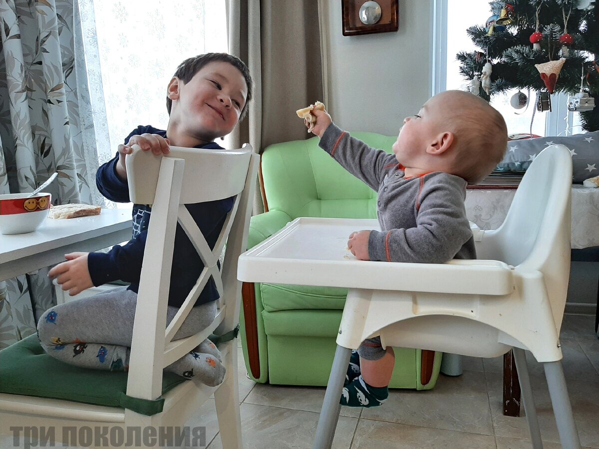 Внуки любят друг друга