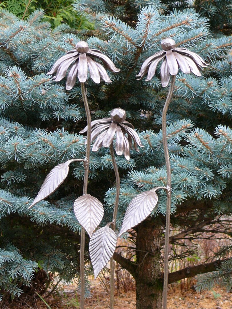 Фотография Варвары Астаховой