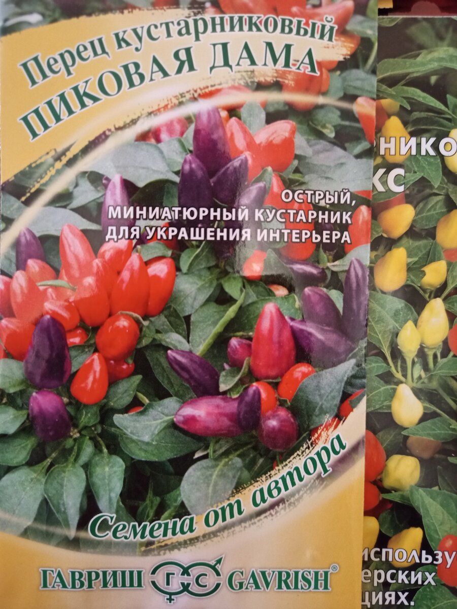 Магазин семян на яблочкова каталог. Магазин семян на яблочкова каталог