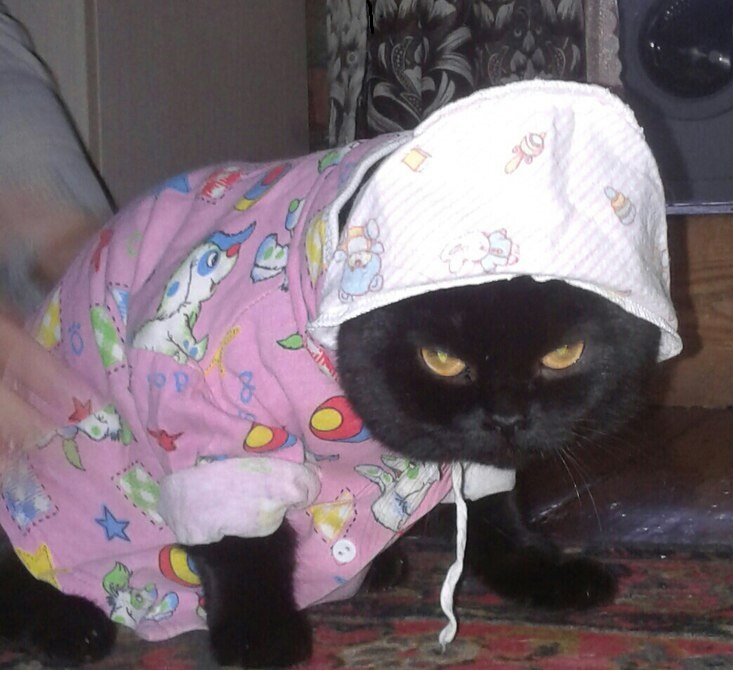 Фото из открытого источника