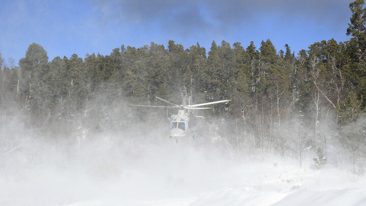 фото: КАВКАЗСКИЙ БИОСФЕРНЫЙ ЗАПОВЕДНИК