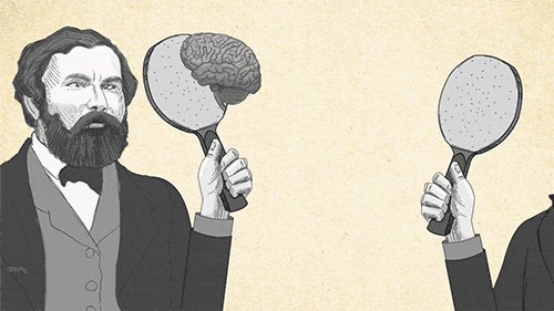 Ну кто его не знает?! Материал с ресурса gifer.com