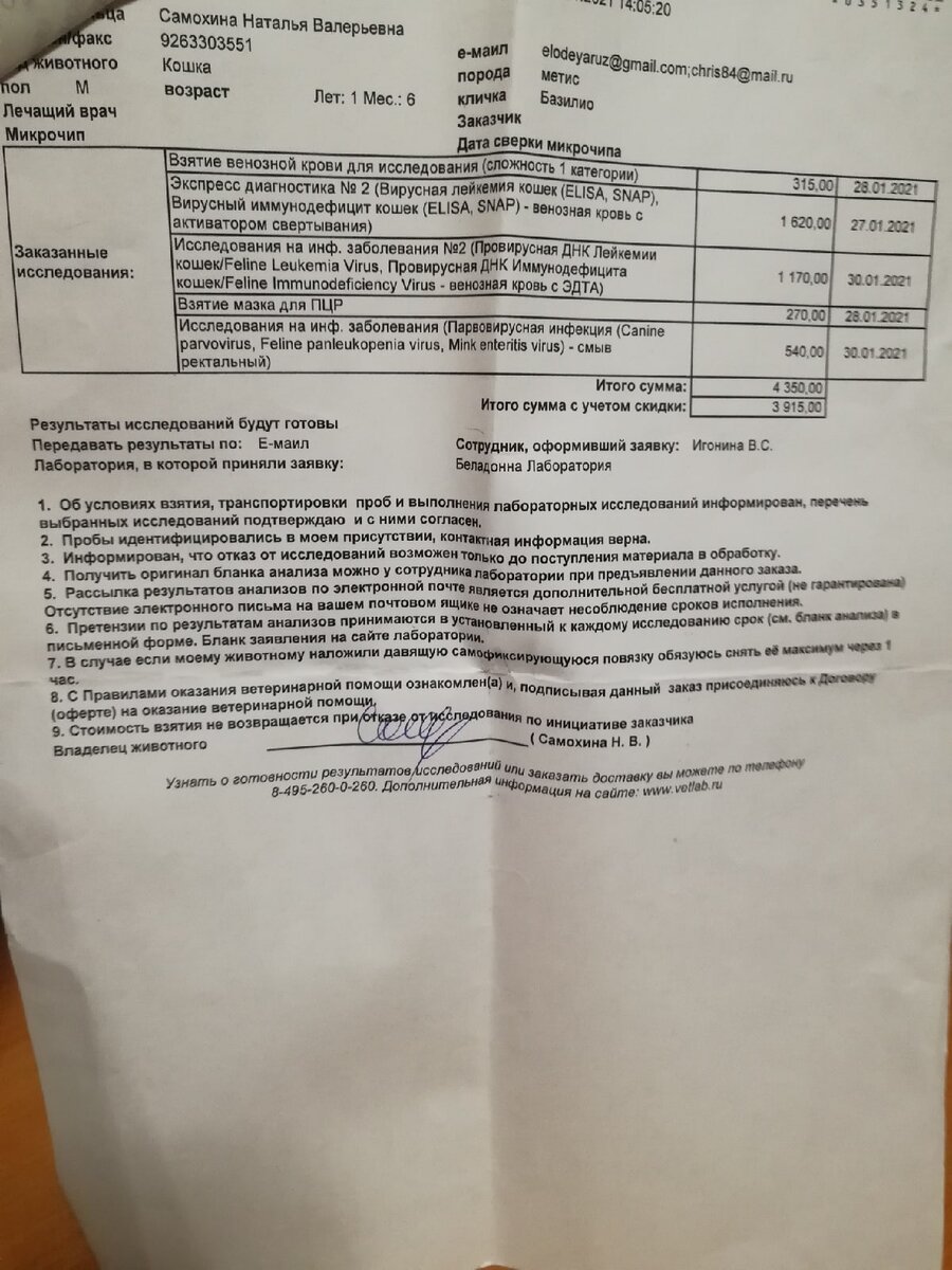 На кота в лаборатории потратили 3 915 рублей