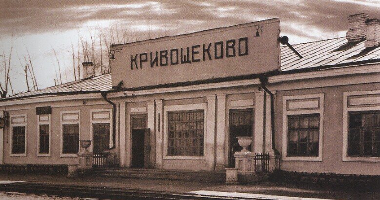 Новосибирск обязан своим появлением на свет Транссибирской магистрали: в конце XIX века император Александр III решил соединить Дальний Восток с более обжитой частью государства железной дорогой.-2-2