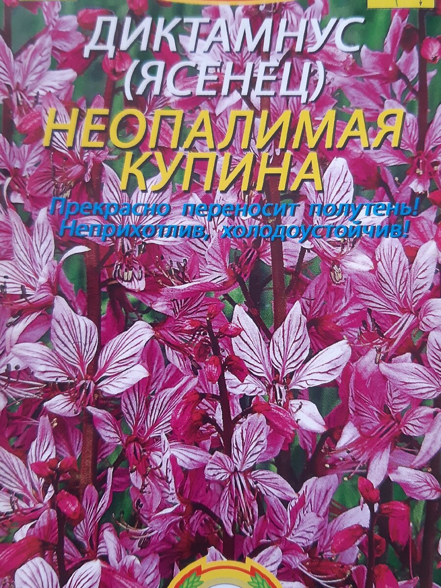 Семена, которые я планировала посеять.