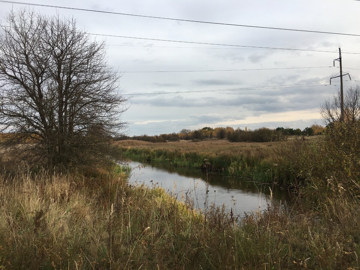 Чернобыльская зона, вне дорог