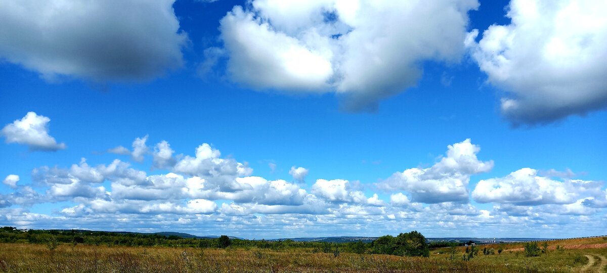 Всё, что ты можешь представить,– реально