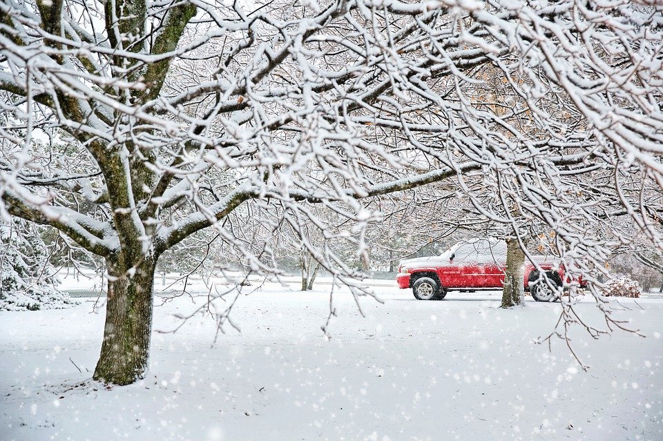 Изображение взято для ознакомления. Ссылка на изображение: https://cdn.pixabay.com/photo/2019/12/01/20/07/snow-4666300_960_720.jpg