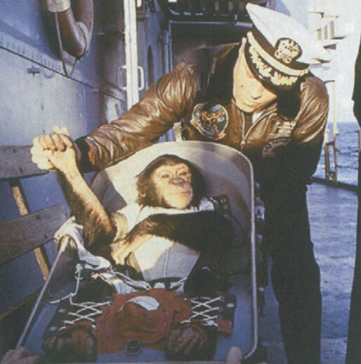 1 Секунда в космосе. Стенгазета про Хэма первый шимпанзе-астронавт своими руками.